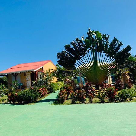 Les Palmes Du Moulin Villa Saint-Louis Bagian luar foto