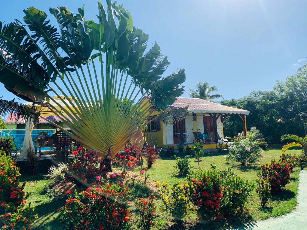 Les Palmes Du Moulin Villa Saint-Louis Bagian luar foto